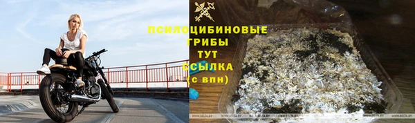 твердый Алзамай