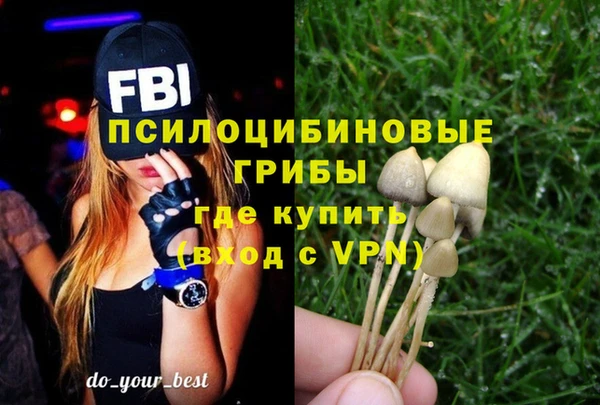 mix Алексин