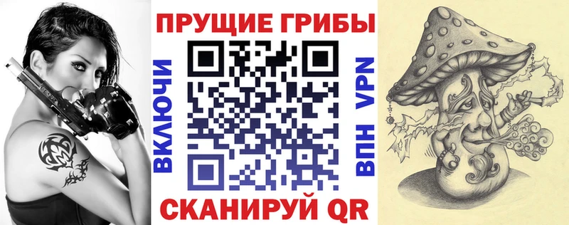 купить закладку  hydra ССЫЛКА  Псилоцибиновые грибы ЛСД  Томмот 